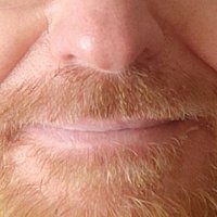 FrotarAlmadaLisboa (@frotarlt) 's Twitter Profile
