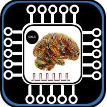 Associate Editor (Neurocomputing)
Previously at Newcastle, Intel Research Cambridge, Microchip, Denmark