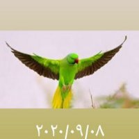 وحيد فريد (@wydfryd727460) Twitter profile photo