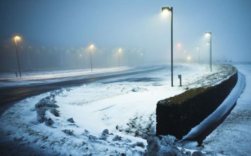 nodataaa's profile picture. 