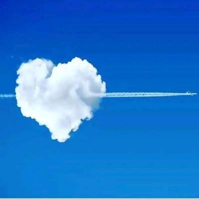 CoxFrankli63304's profile picture. 