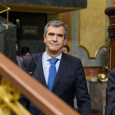 Diputado Nacional. ExAlcalde de Guadalajara. Secretario de Política Local del PP. Médico Internista. Católico. Casado, 3 hijos y del Atleti.