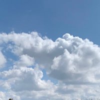 ククララ (@bottom_nono) 's Twitter Profile