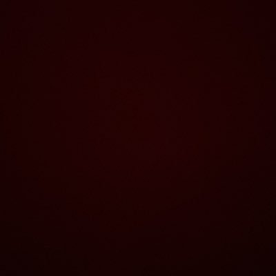 PareeWills's profile picture. 