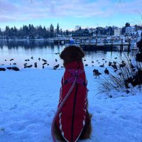 SoulfulSiren (@luked87) 's Twitter Profile