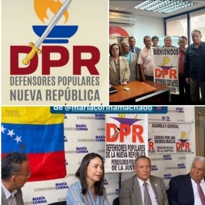 Presidente de la AC Defensores Populares de la Nueva Republica para la lucha contra la Corrupción y la Delincuencia Fundada en Caracas con competencia Nacional.