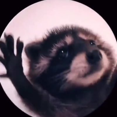 GenesisSarao's profile picture. Me gustan los animalitos