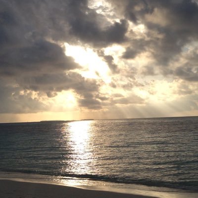 turki_m300's profile picture. 