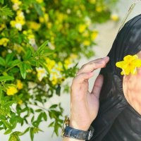Wajiha Zainab (@wajihazainb) 's Twitter Profile