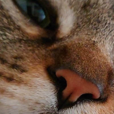 mightyfinish's profile picture. カード集めが好きなアイ・アムヒューマン