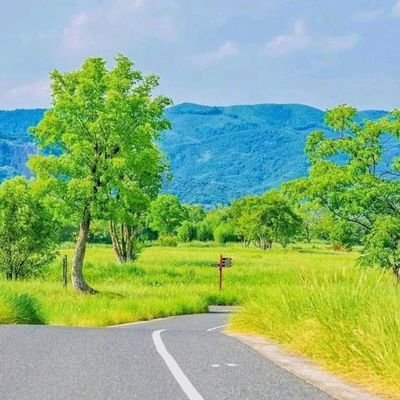 TirunehTamiru's profile picture. Nice