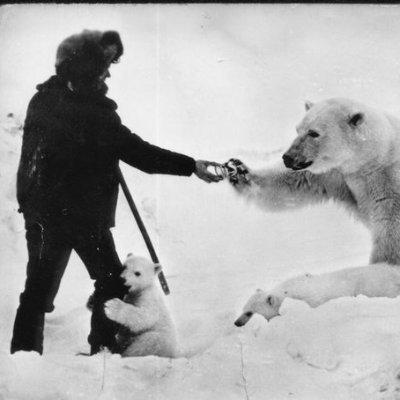 PandemiCxS's profile picture. I like microbes