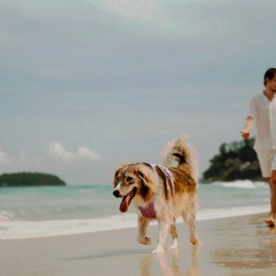 LindseyPor1394's profile picture. 