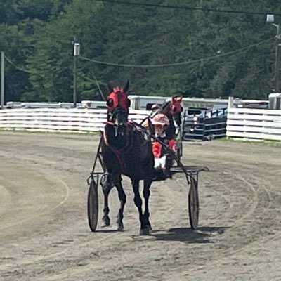 Harness Racing trainer and driver