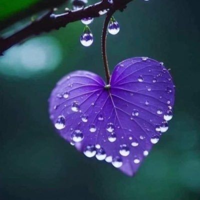 Monine07's profile picture. 