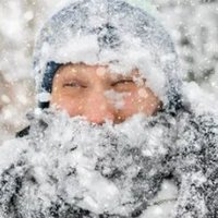 December Snow(@DecemberSnow152) 's Twitter Profile Photo