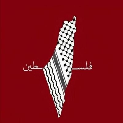 omry761's profile picture. 