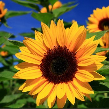 EToni35047's profile picture. 