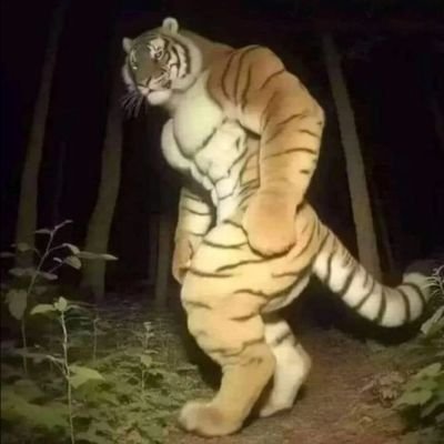 10J04n's profile picture. Me gustan las magdalenas :)