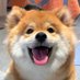 Herdx (@herdx294386) Twitter profile photo Herdx (@herdx294386) Twitter profile photo