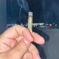 funstoner (@funstoner_13) 's Twitter Profile