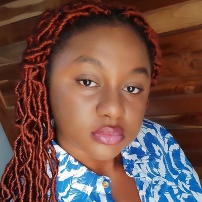African Feminist 2.0 , Journalist