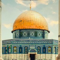 N. Bahar (@necbahar) 's Twitter Profile