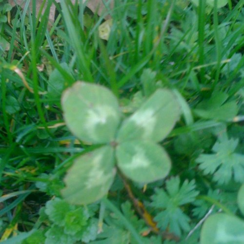 IBulgarelli's profile picture. 