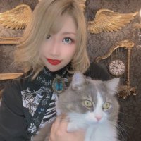 アイト＆猫のルルーシュ🐱🧸🎠🎪🎟(@KERA_Aito) 's Twitter Profile Photo