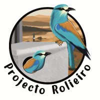 Projecto_Rolieiro(@rolieiro) 's Twitter Profile Photo