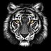 Elie Ayoub (@_elie_ayoub_) Twitter profile photo Elie Ayoub (@_elie_ayoub_) Twitter profile photo