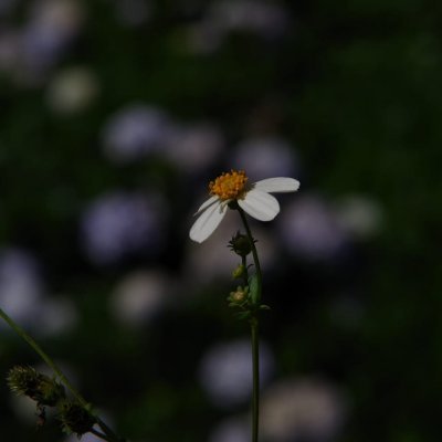 locSer_fly's profile picture. Hi, tell me everything about you