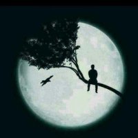 moh (@mohammedmo19229) 's Twitter Profile