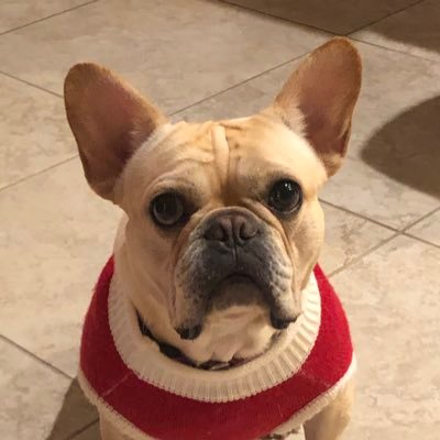 SDTwoDad's profile picture. 