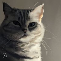 🇺🇦Сич🇺🇦 (@moksonenko) 's Twitter Profile