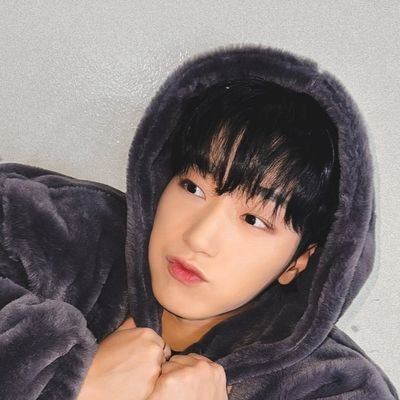 jeongin and casual ot8 skz/ot8 Ateez collector