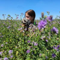 Clari (@clariavi) 's Twitter Profile