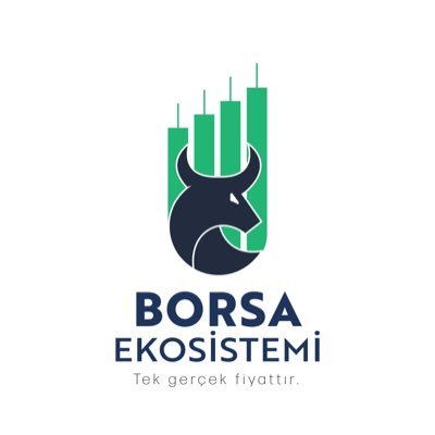 borsaekosistemi Profile Picture