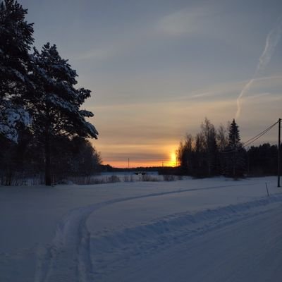 _sehhlol's profile picture. 