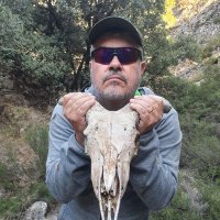 Morrionet (@morrionet1) 's Twitter Profile