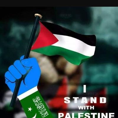 I stand with Palestine 🇸🇩🇸🇩