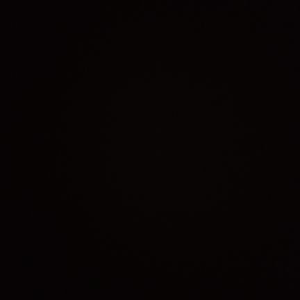 tega_biggs's profile picture. 💻♟️