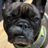 Lesley Clark (@lesleyc21479401) 's Twitter Profile Photo Lesley Clark (@lesleyc21479401) 's Twitter Profile Photo