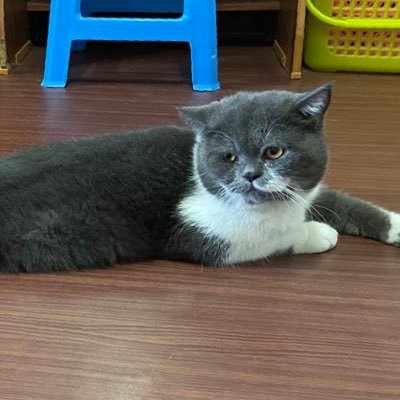 Suisun2627's profile picture. 