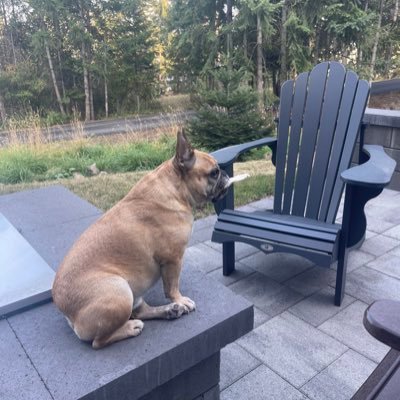 skersch65's profile picture. 