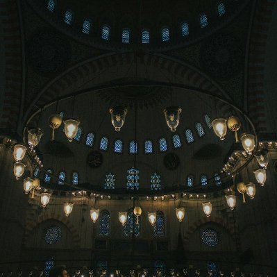 BessHardy78090's profile picture. 自助下单秒发货: https://t.co/rP13T1VuD4   TG24小时售后客服：https://t.co/7rRlRu7Lyk