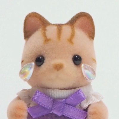 sylvanianbnd Profile Picture