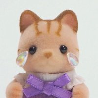 bnd sylvanian ꒰ᐢ. .ᐢ꒱(@sylvanianbnd) 's Twitter Profile Photo