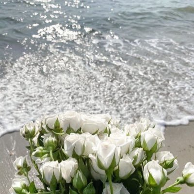 R_ay111's profile picture. 