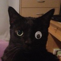 Olisquare (@olisquares) 's Twitter Profile